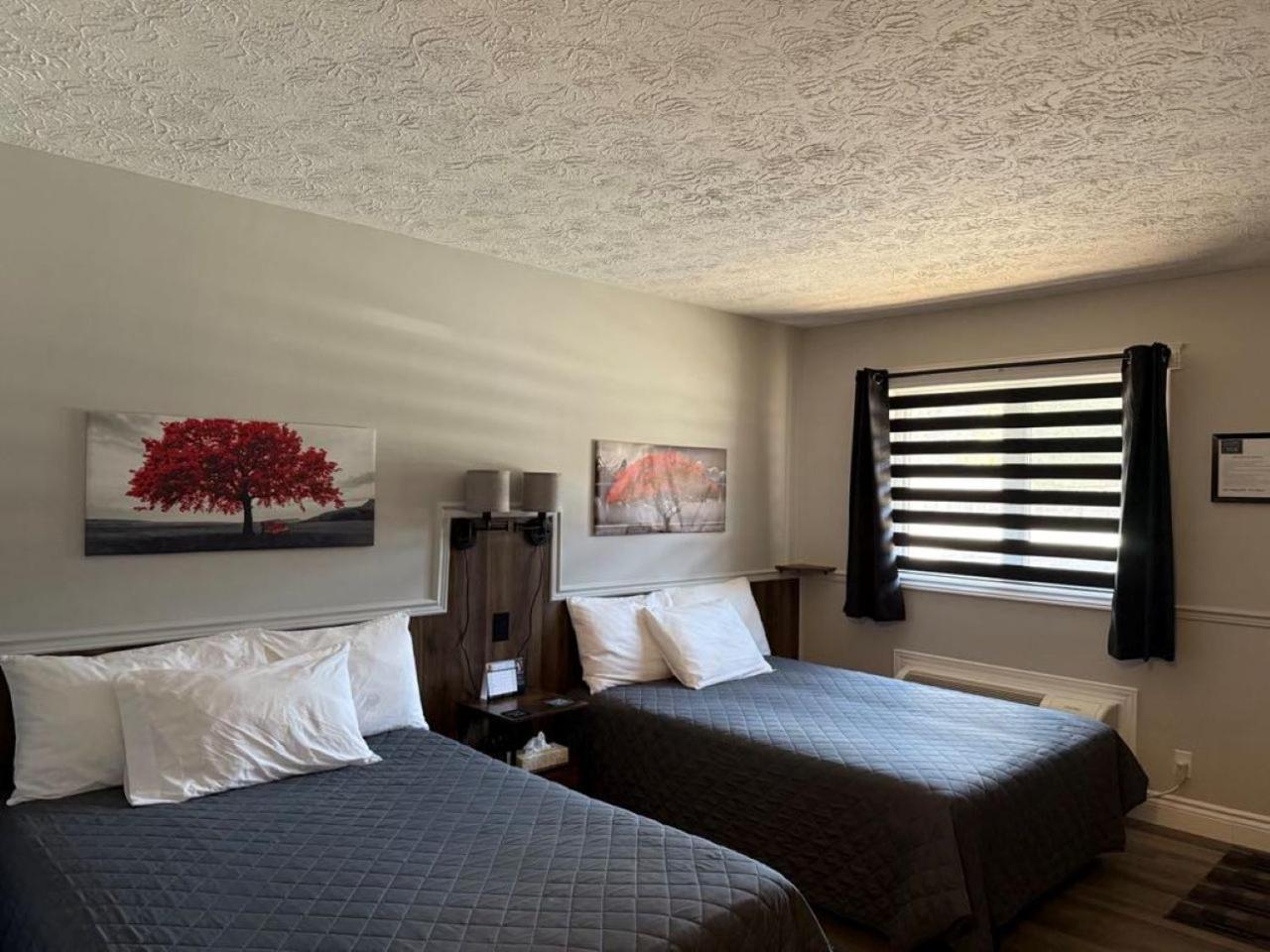 Auberge Micky Inc Edmundston Eksteriør billede